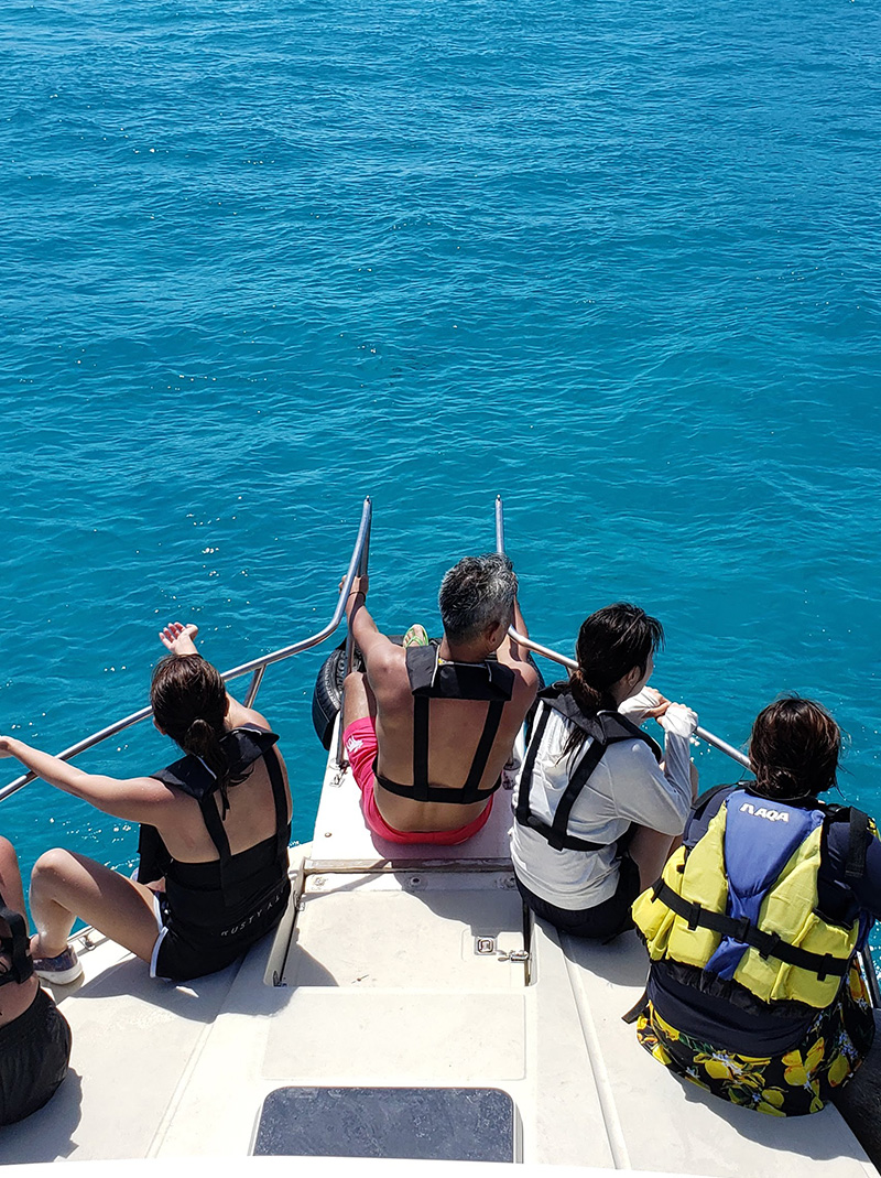 ウェイクボード